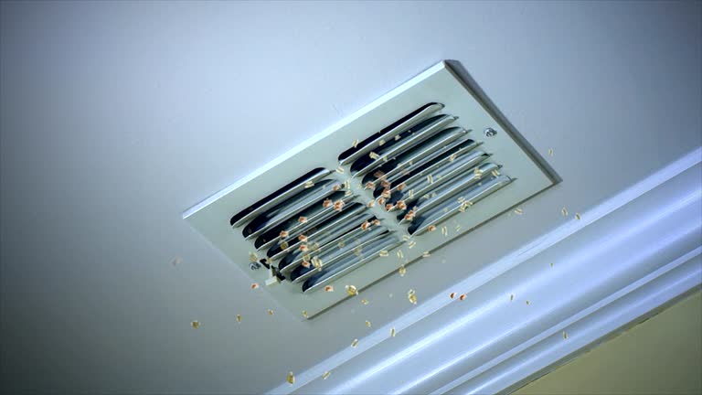 Best Residential Air Duct Cleaning  in Wright, WY