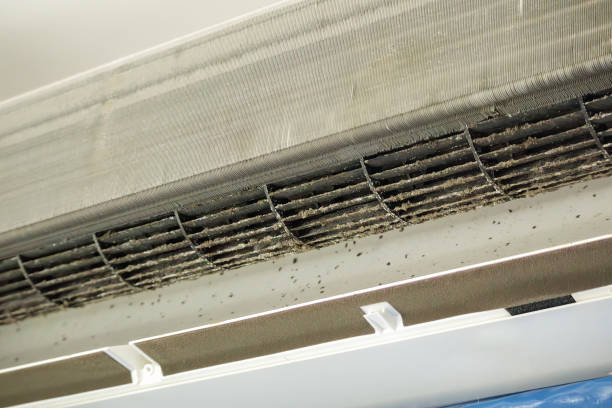 Best Commercial HVAC Duct Cleaning  in Wright, WY